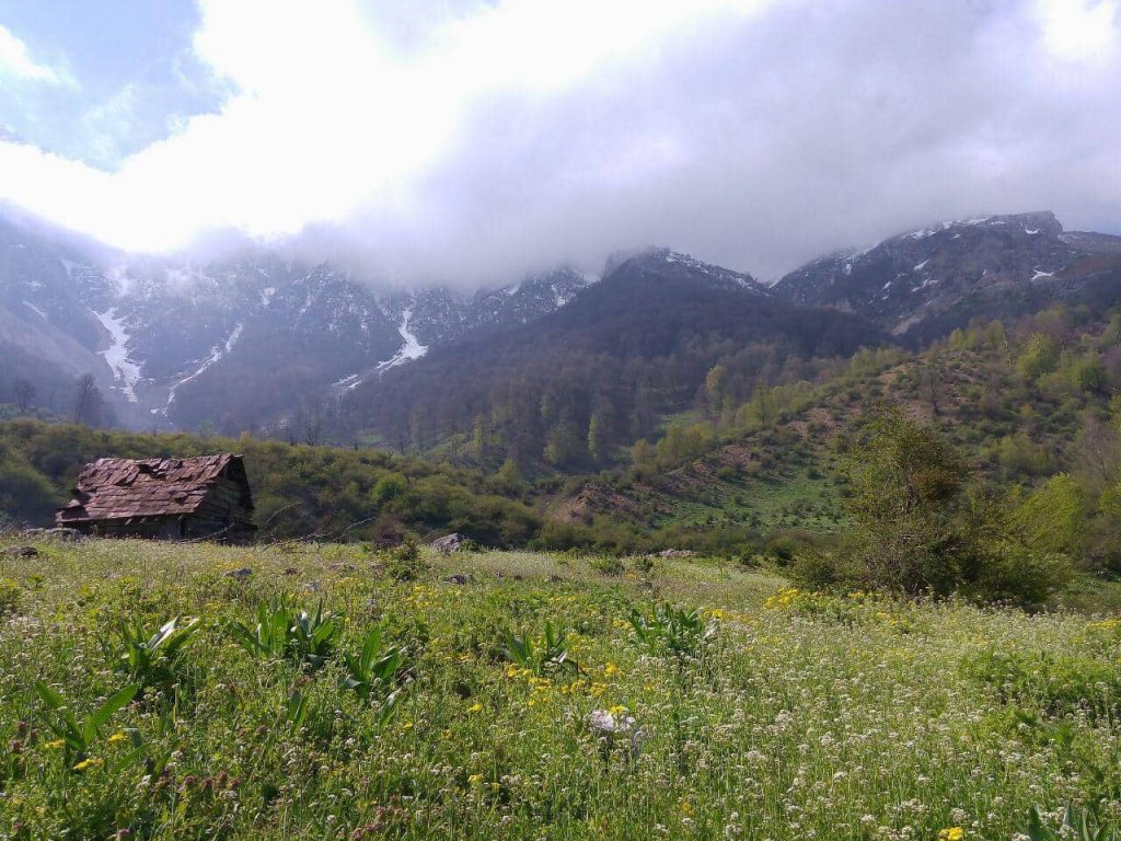 روستای برنت سوادکوه