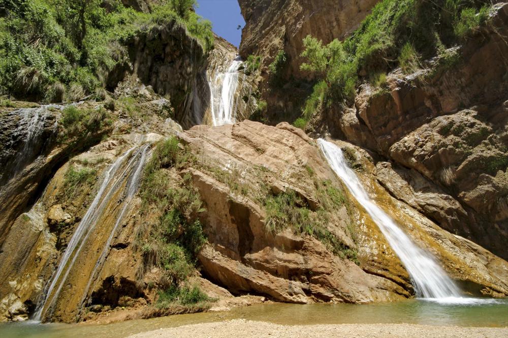 نوژیان