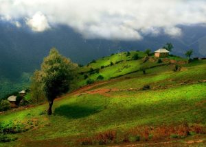 همه چیز درباره آلاشت، بهشت مه گرفته سوادکوه
