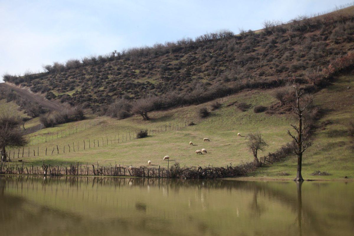 استخر روستای استخرگاه