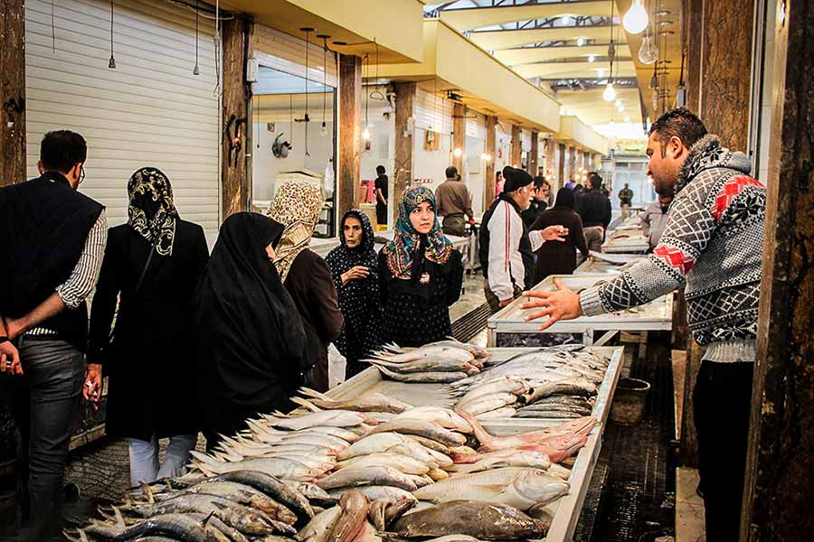 بازار ماهی فروشان بوشهر