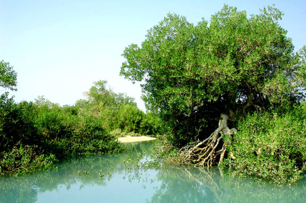 بندر گواتر
