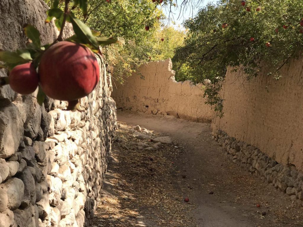 جاهای دیدنی تفت کجاست؟