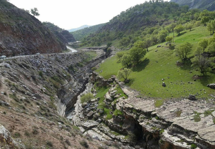 تنگ رازیانه در ایلام