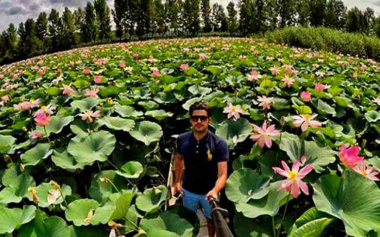 بوستان نیلوفر آبی ساری
