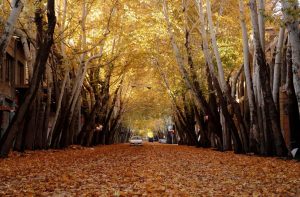 سفر به خوانسار در پاییز