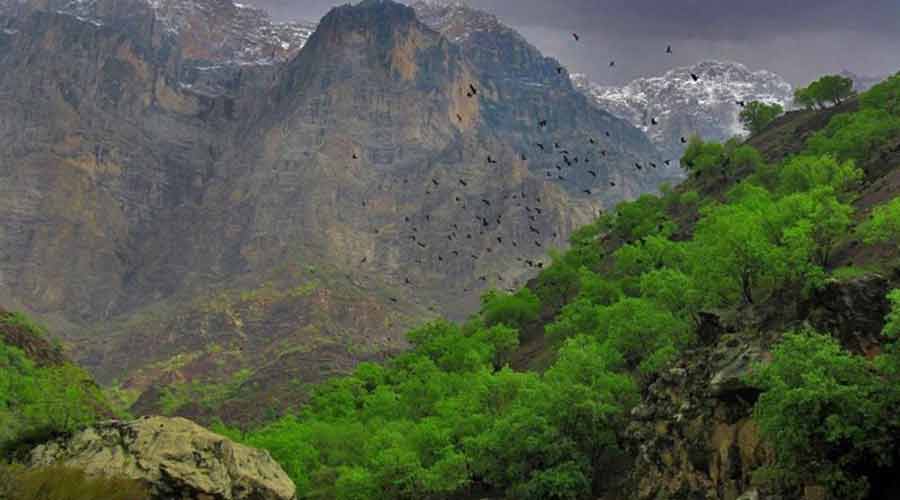 دره عشق