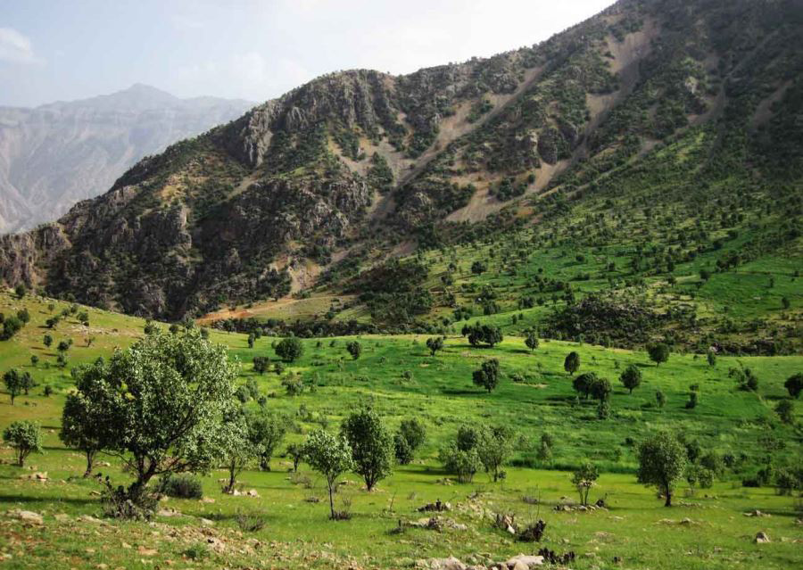 دره عشق را کجا پیدا کنیم؟