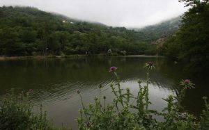 راهنمای رفتن به دریاچه شورمست