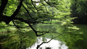 راهنمای رفتن به دریاچه فراخین