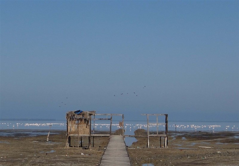 دریای گلوگاه