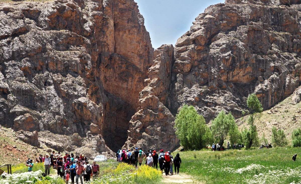 دشت ساواشی