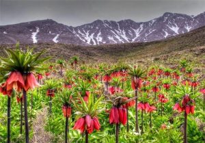 زیباترین جاذبه‌های گردشگری خرم آباد (2)