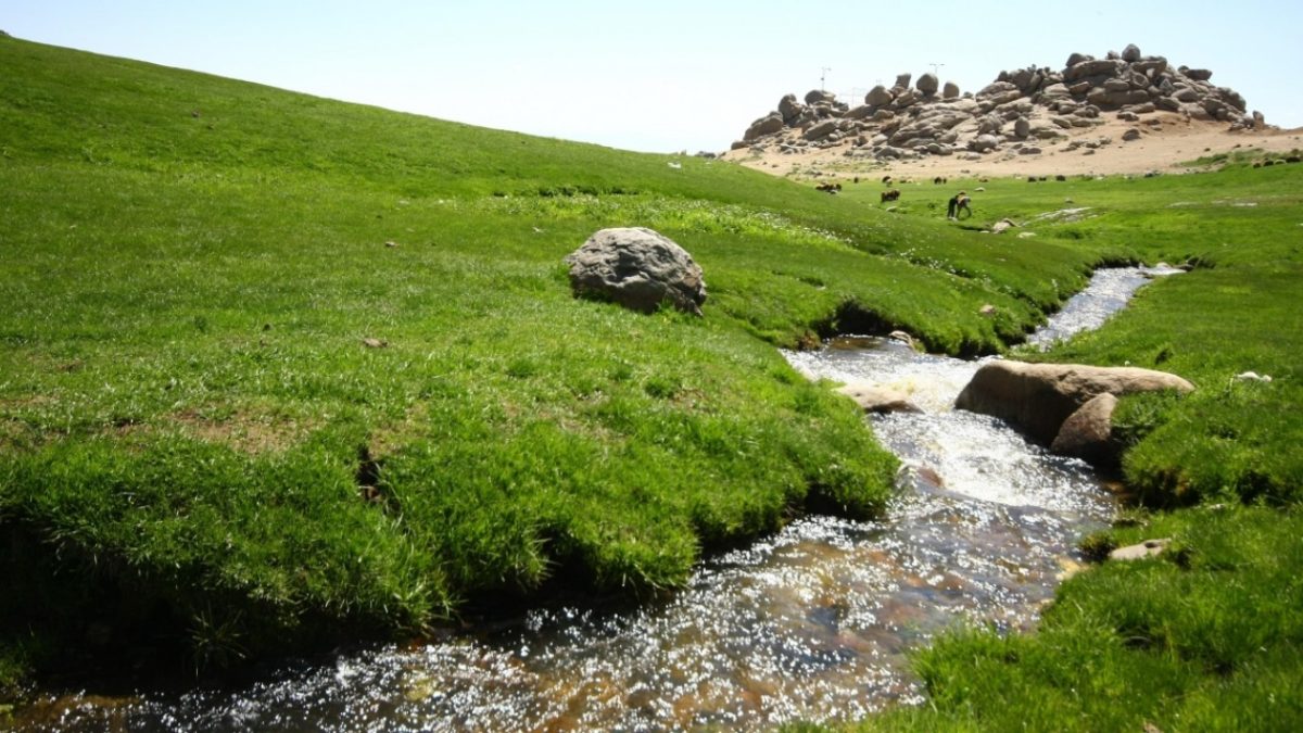 دشت میشان دشت میشان