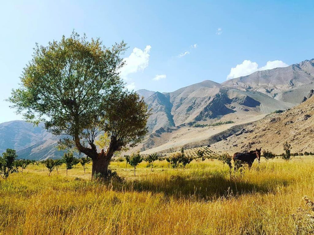 5 مقصد پاییزی اطراف تهران برای سفر یک روزه