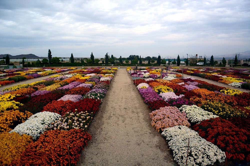 مناطق پرگل ایران کجاست؟