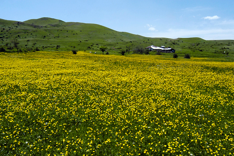 راهنمای سفر به دیلمان گیلان