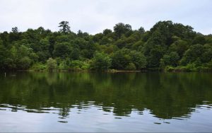 راهنمای رفتن به چمستان