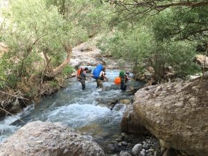 راهنمای رفتن به روستای تی؛ سرزمین آبشارها و سراب‌ها