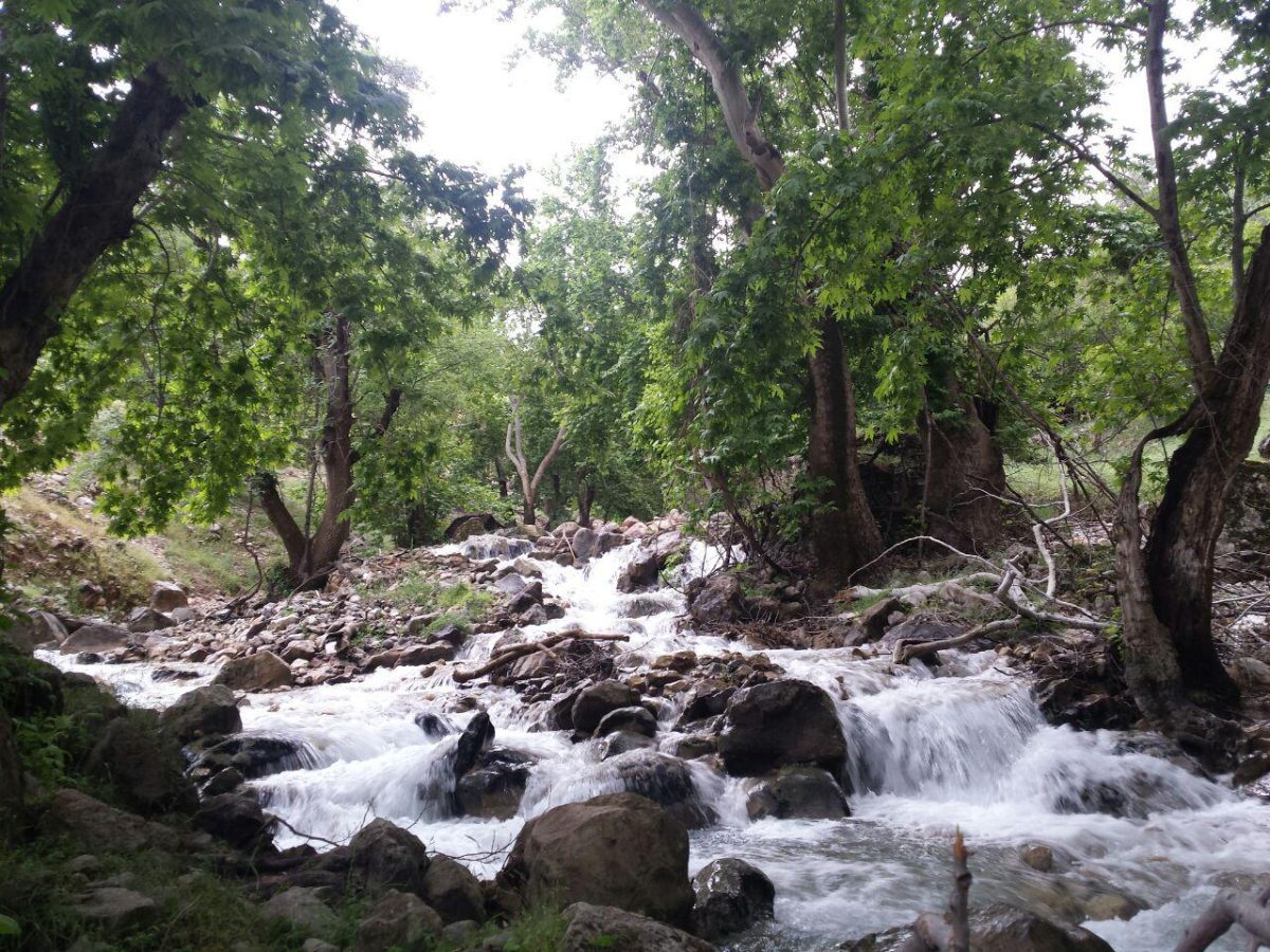 روستای گنجه