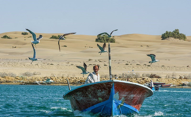 در سفر به جنوب کجا را ببینیم؟
