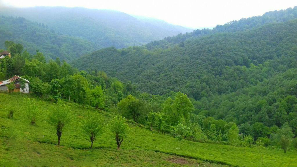 سیاهکل کجاست؟ چه جاذبه‌هایی را در سفر سیاهکل نباید از دست بدهیم؟