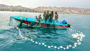در سیراف کجا را ببینیم؟