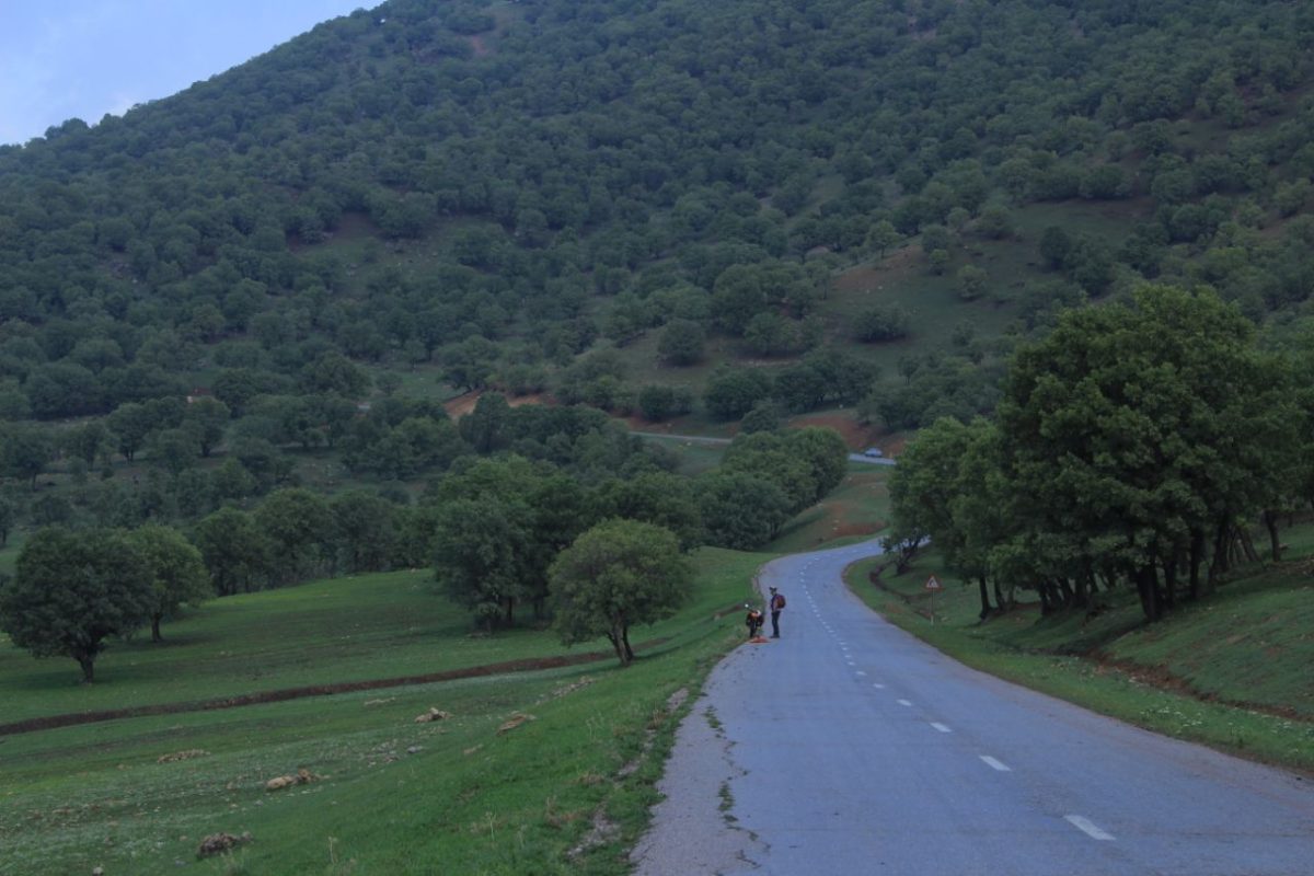 طبیعت اطراف آبشار چکان