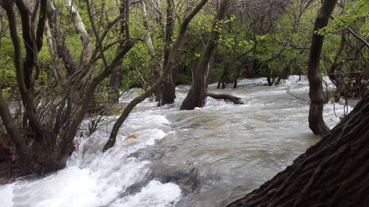 طبیعت گیان طبیعت گیان