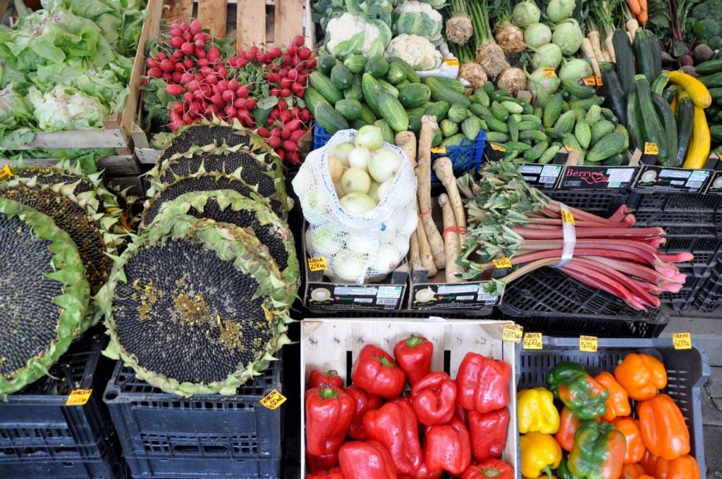 همه چیز درباره عکاسی در سفر