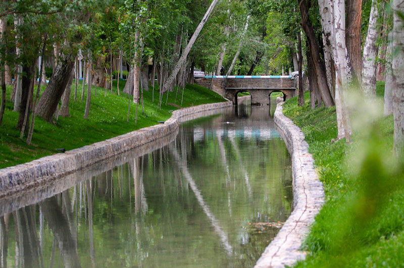 مادی نیاصرم