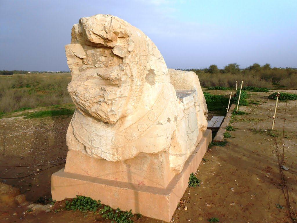 مجسمه های به جا مانده در شوش مجسمه های به جا مانده در شوش