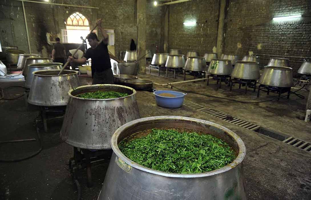 نذری در تهران
