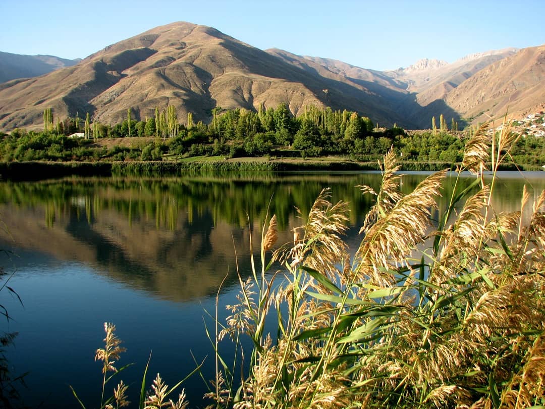 نیزارهای اوان