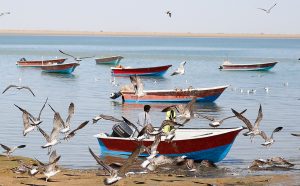 هزینه سفر به چابهار چقدر است؟