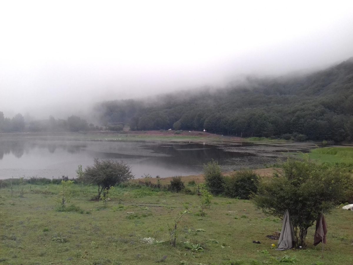ویستان