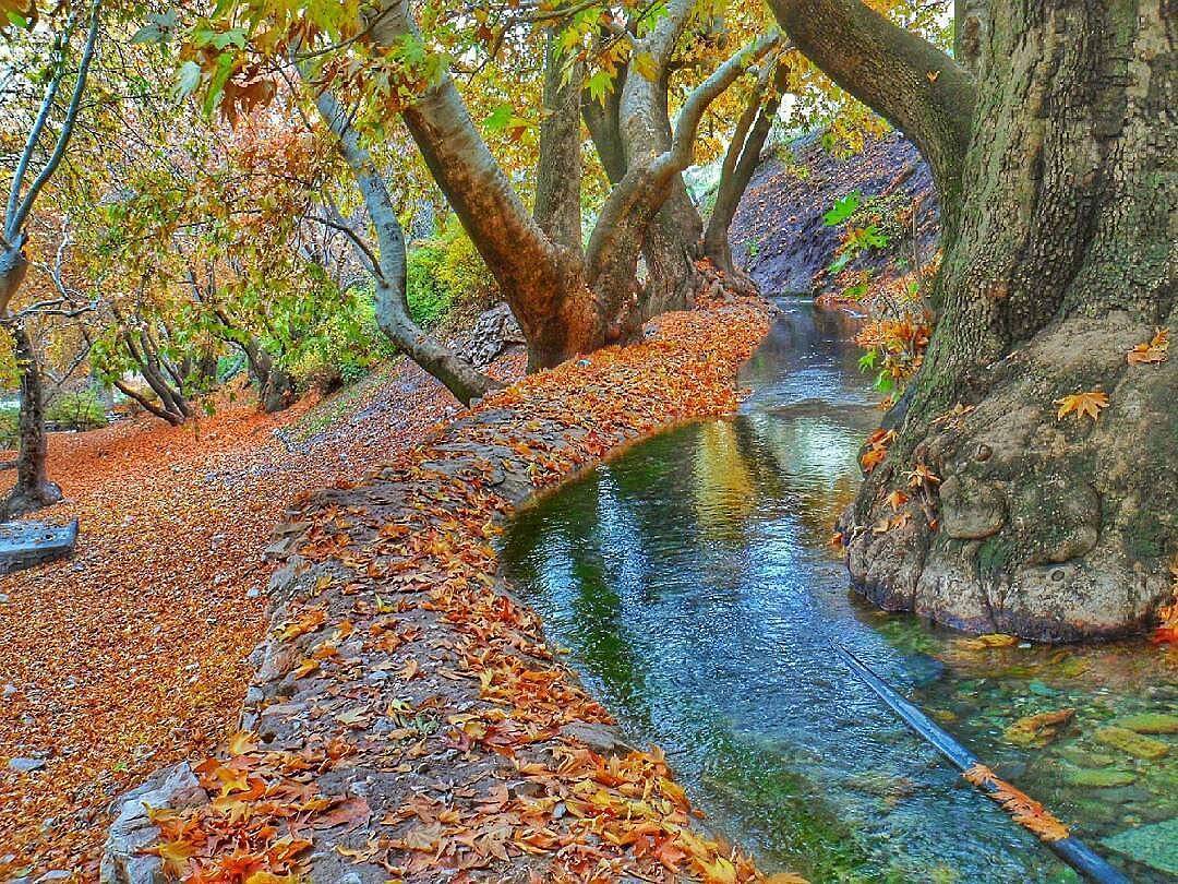 پاییز سراب گیان پاییز سراب گیان