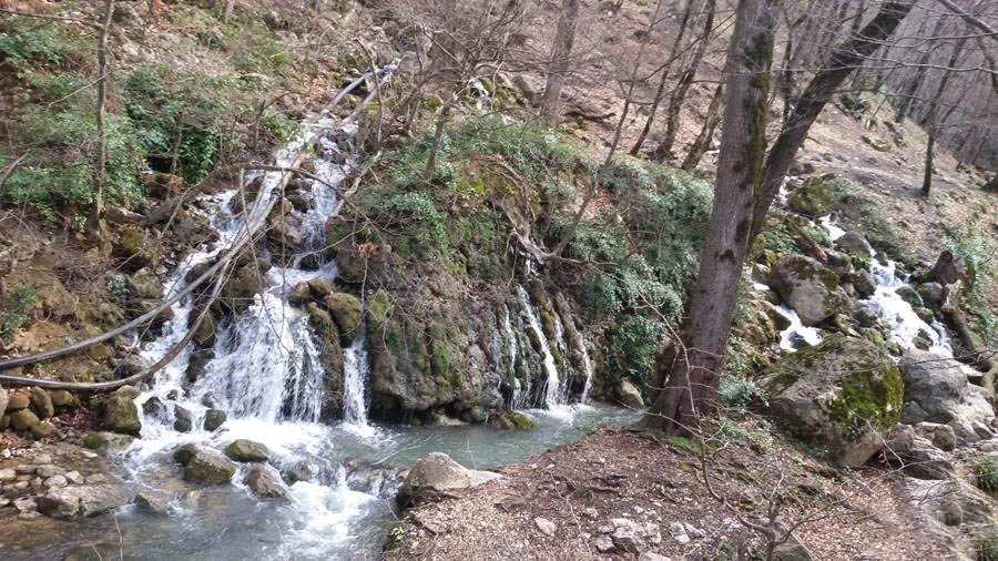 چشمه زاو