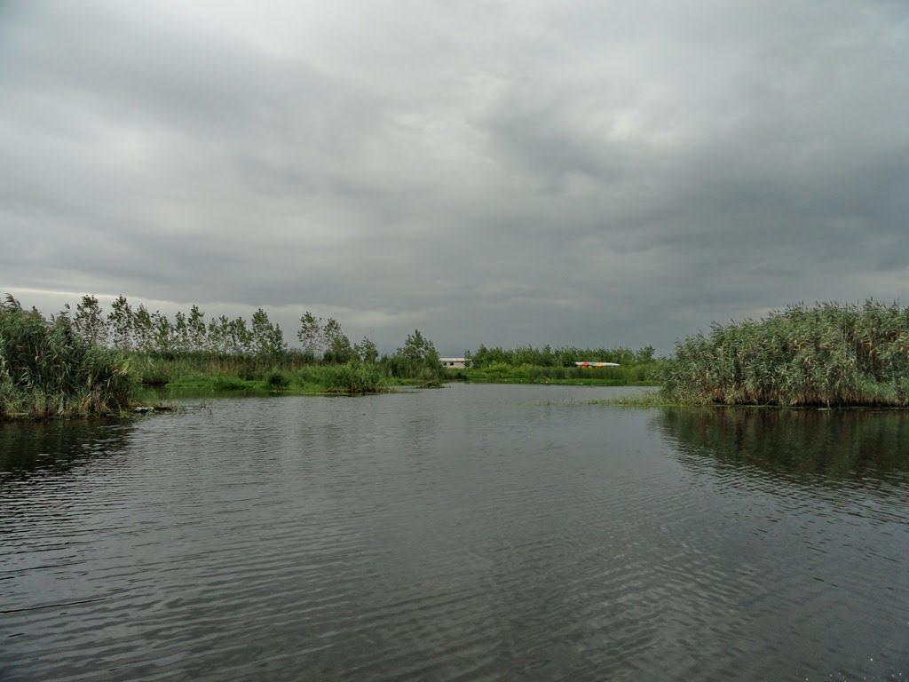 ساحل چمخاله ساحل چمخاله