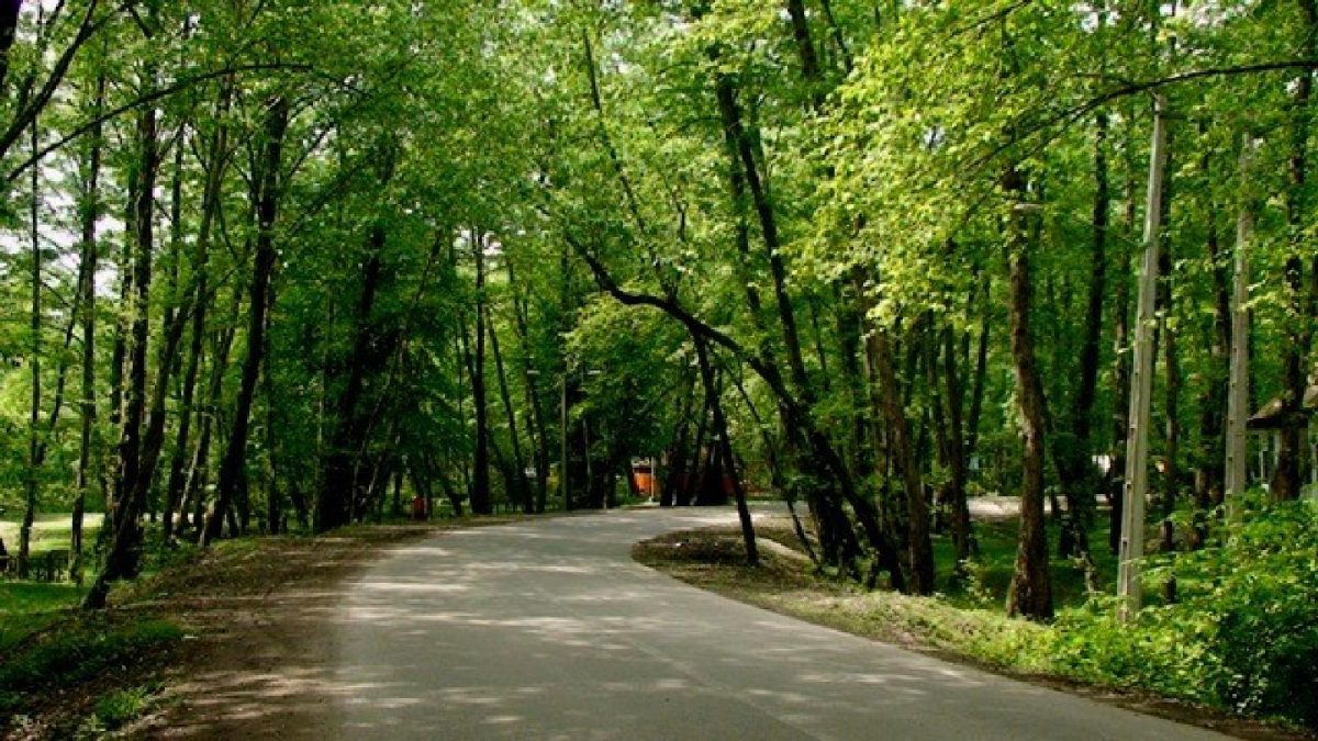 چمستان مازندارن چمستان مازندارن