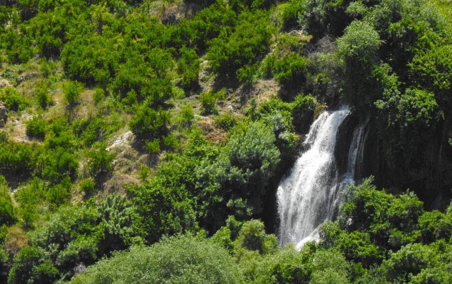 کوهمره سرخی کوهمره سرخی