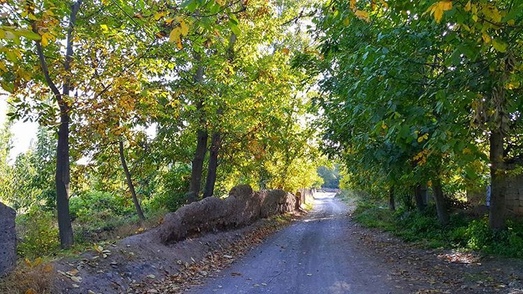 کوچه باغ های فیرورق کوچه باغ های فیرورق