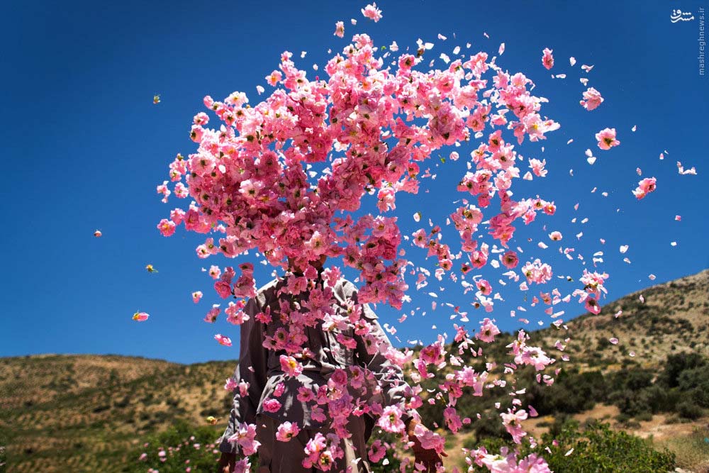 مناطق پرگل ایران کجاست؟