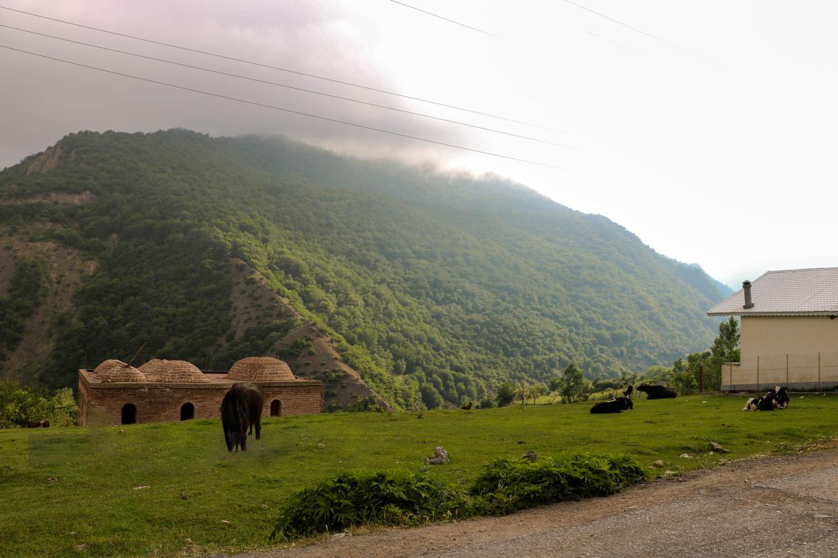 ییلاق سرسبزی در تالش