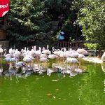 باغ پرندگان تهران | قیمت بلیط مهر ۱۴۰۵، آدرس و ساعت کاری